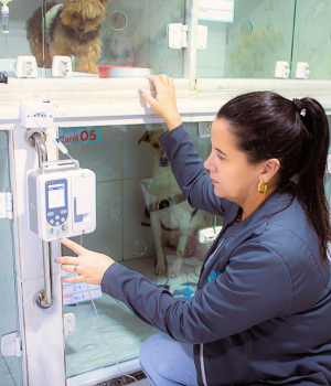 Atendimento - Clínica Veterinária Patinhas praianas