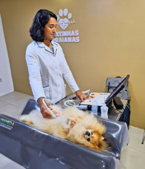 Atendimento - Clínica Veterinária Patinhas praianas