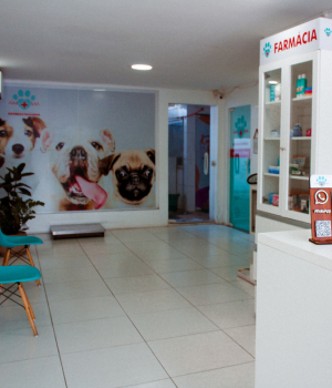 Clínica Veterinária Patinhas praianas