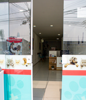 Clínica Veterinária Patinhas praianas