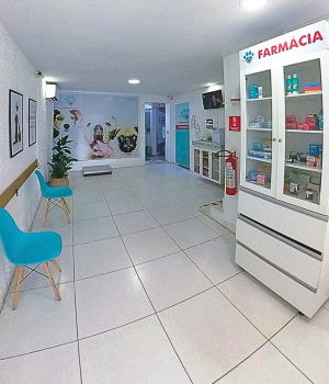 Clínica Veterinária Patinhas praianas