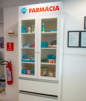 Clínica Veterinária Patinhas praianas